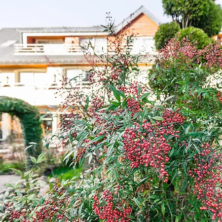 Logis L'auberge - Maison Glenn Anna ホテル Saint Anne-dʼAuray